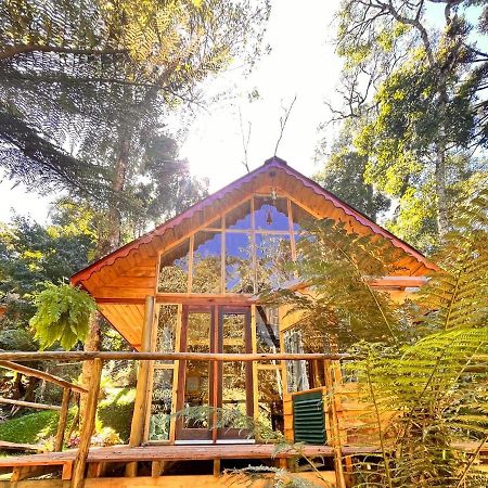 Chale Samambaia Villa Campos do Jordão Eksteriør billede