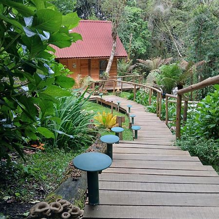 Chale Samambaia Villa Campos do Jordão Eksteriør billede